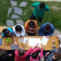 Komunitní zahrady knihoven: Jak využít exteriér budovy knihovny na přírodní zahradu. 2.&nbsp;část (koho a&nbsp;jak zapojit do přeměny okolí knihovny)