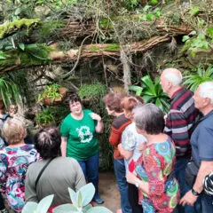 Příloha – Knihovny a dlouhověkost: Příroda a dlouhověkost