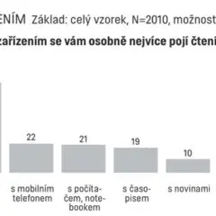 Čtení v&nbsp;české společnosti