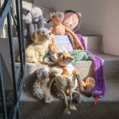 Jak hravě dostat téma demokracie do knihoven? Volte zvířata!